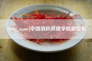 澳门中国消防救援学院副院长
