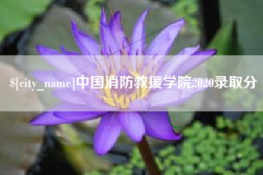 澳门中国消防救援学院2020录取分