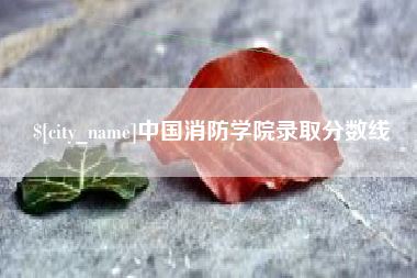 澳门中国消防学院录取分数线