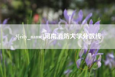 澳门河南消防大学分数线