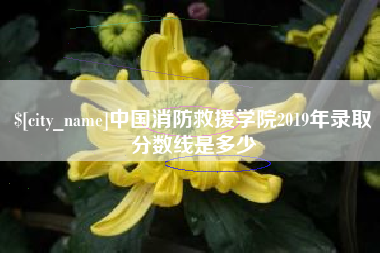 澳门中国消防救援学院2019年录取分数线是多少