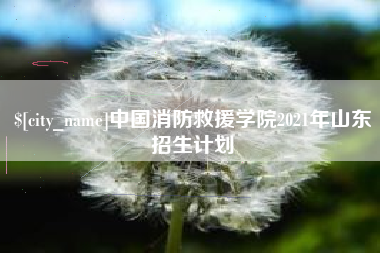澳门中国消防救援学院2021年山东招生计划