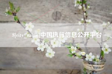 澳门中国执行信息公开平台