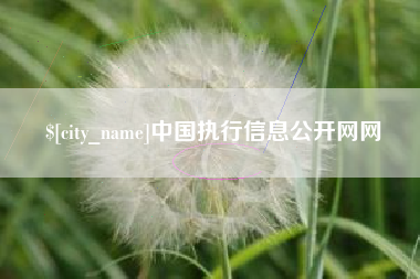 澳门中国执行信息公开网网