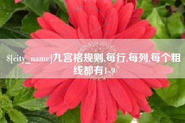 澳门九宫格规则,每行,每列,每个粗线都有1-9