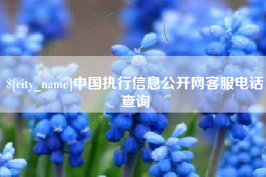 澳门中国执行信息公开网客服电话查询