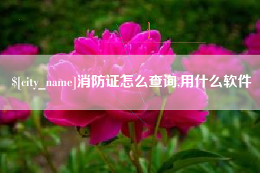澳门消防证怎么查询,用什么软件