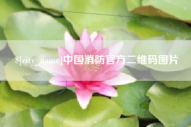 澳门中国消防官方二维码图片