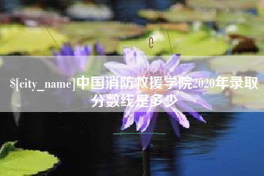 澳门中国消防救援学院2020年录取分数线是多少