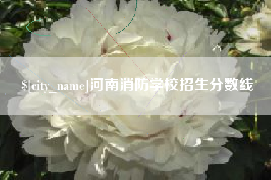 澳门河南消防学校招生分数线