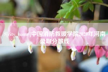 澳门中国消防救援学院2020年河南录取分数线