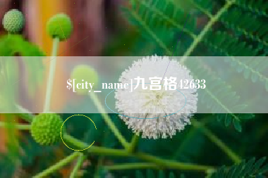 澳门九宫格42633