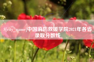 澳门中国消防救援学院2021年各省录取分数线