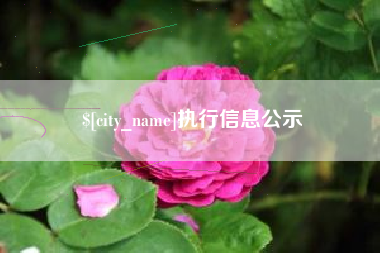 澳门执行信息公示