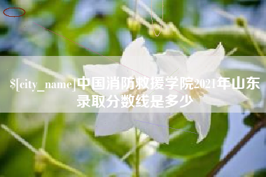 澳门中国消防救援学院2021年山东录取分数线是多少