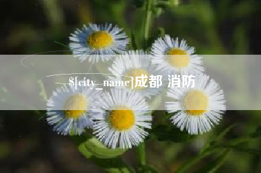 澳门成都 消防