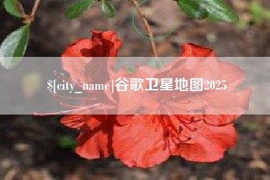澳门谷歌卫星地图2025