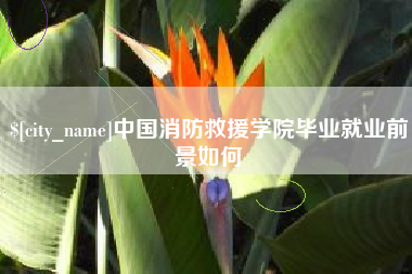 澳门中国消防救援学院毕业就业前景如何