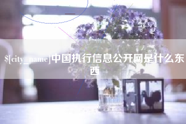 澳门中国执行信息公开网是什么东西