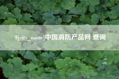 澳门中国消防产品网 查询
