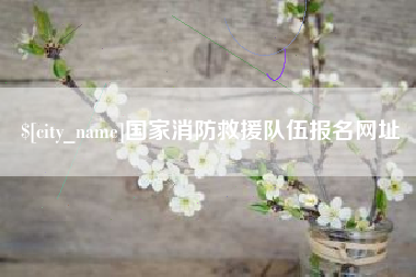 澳门国家消防救援队伍报名网址