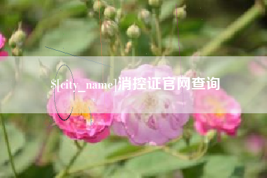 澳门消控证官网查询