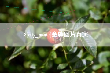 澳门金牌图片真实