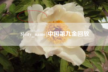 澳门中国第九金回放