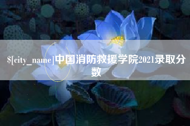 澳门中国消防救援学院2021录取分数