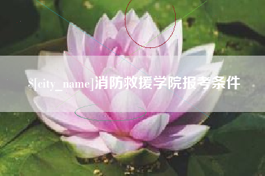 澳门消防救援学院报考条件