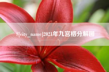 澳门2021年九宫格分解图
