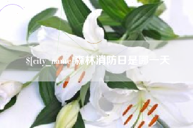 澳门森林消防日是哪一天