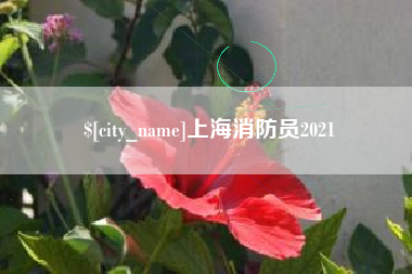 澳门上海消防员2021
