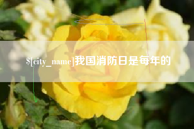 澳门我国消防日是每年的