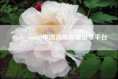 澳门中国消防救援招录平台