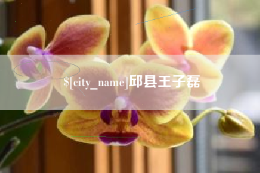 澳门邱县王子磊