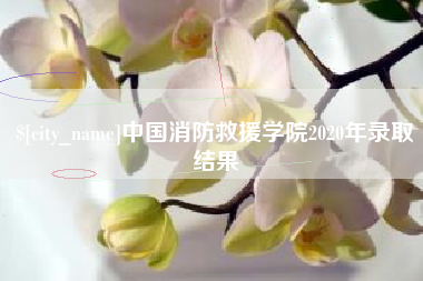 澳门中国消防救援学院2020年录取结果
