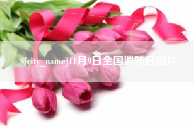 澳门11月9日全国消防日图片