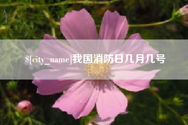 澳门我国消防日几月几号