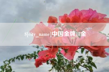澳门中国金牌18金