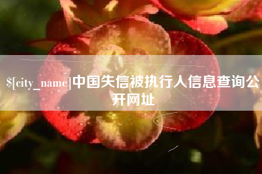 澳门中国失信被执行人信息查询公开网址