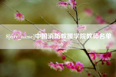 澳门中国消防救援学院教师名单