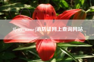 澳门消防证网上查询网站