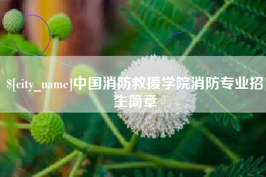 澳门中国消防救援学院消防专业招生简章