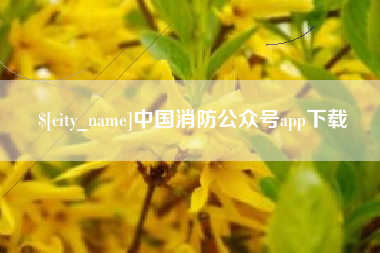 澳门中国消防公众号app下载