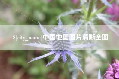 澳门中国地图图片清晰全图