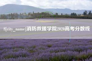 澳门消防救援学院2020高考分数线