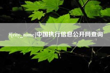澳门中国执行信息公开网查询
