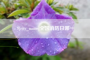 澳门全国消防日哪一