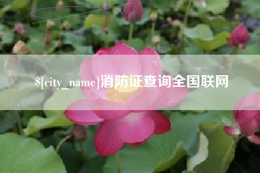 澳门消防证查询全国联网